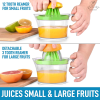 Citrus Juicer Reamer