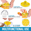 Citrus Juicer Reamer